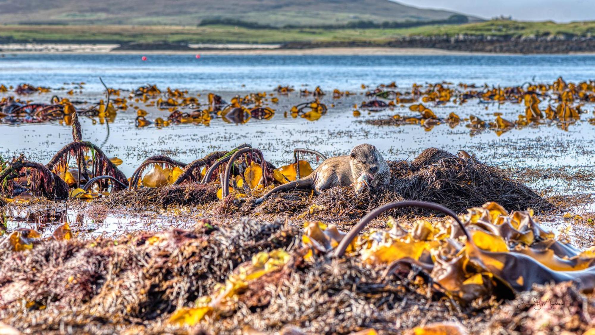 North Uist Lodges Tigharry Eksteriør bilde